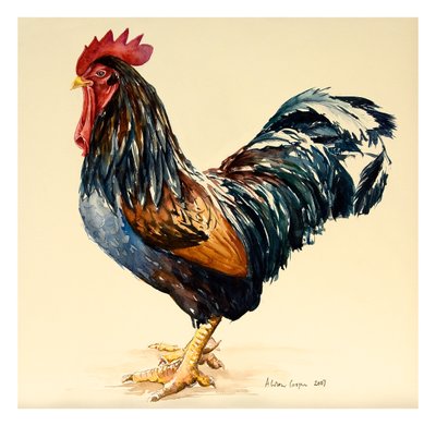 Il Gallo di George, 2007 da Alison Cooper